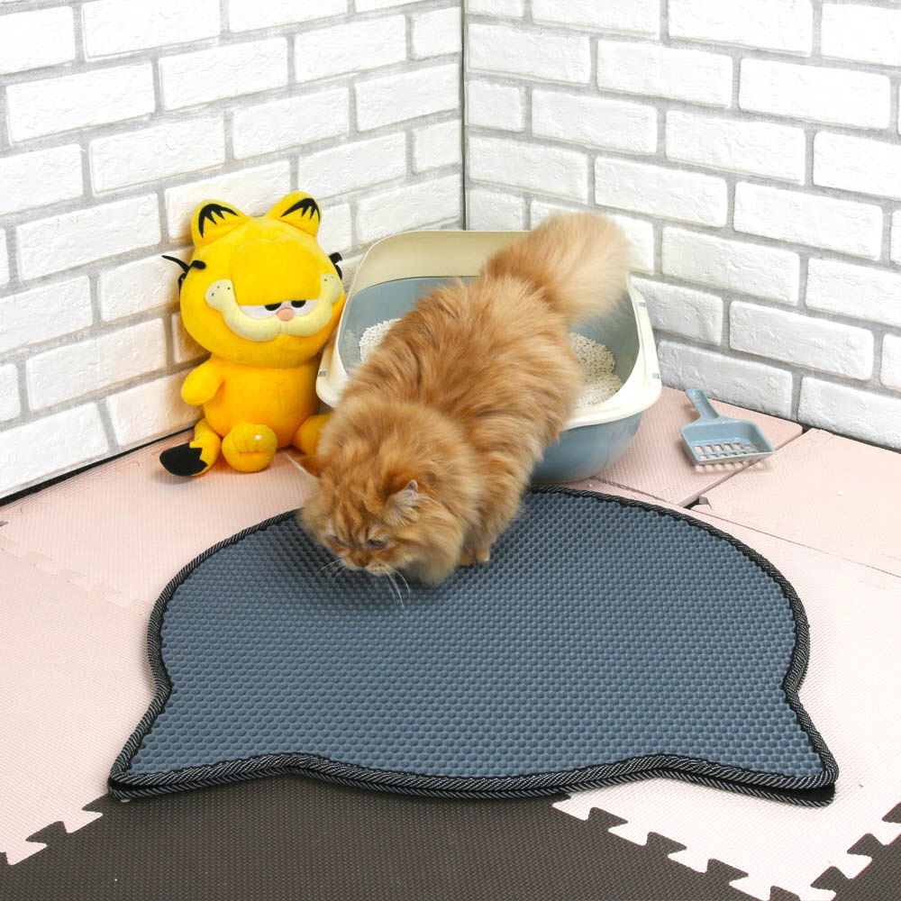 1646277727 thumbnail