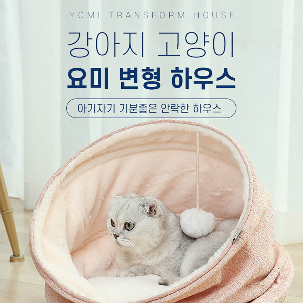 1646277743 thumbnail