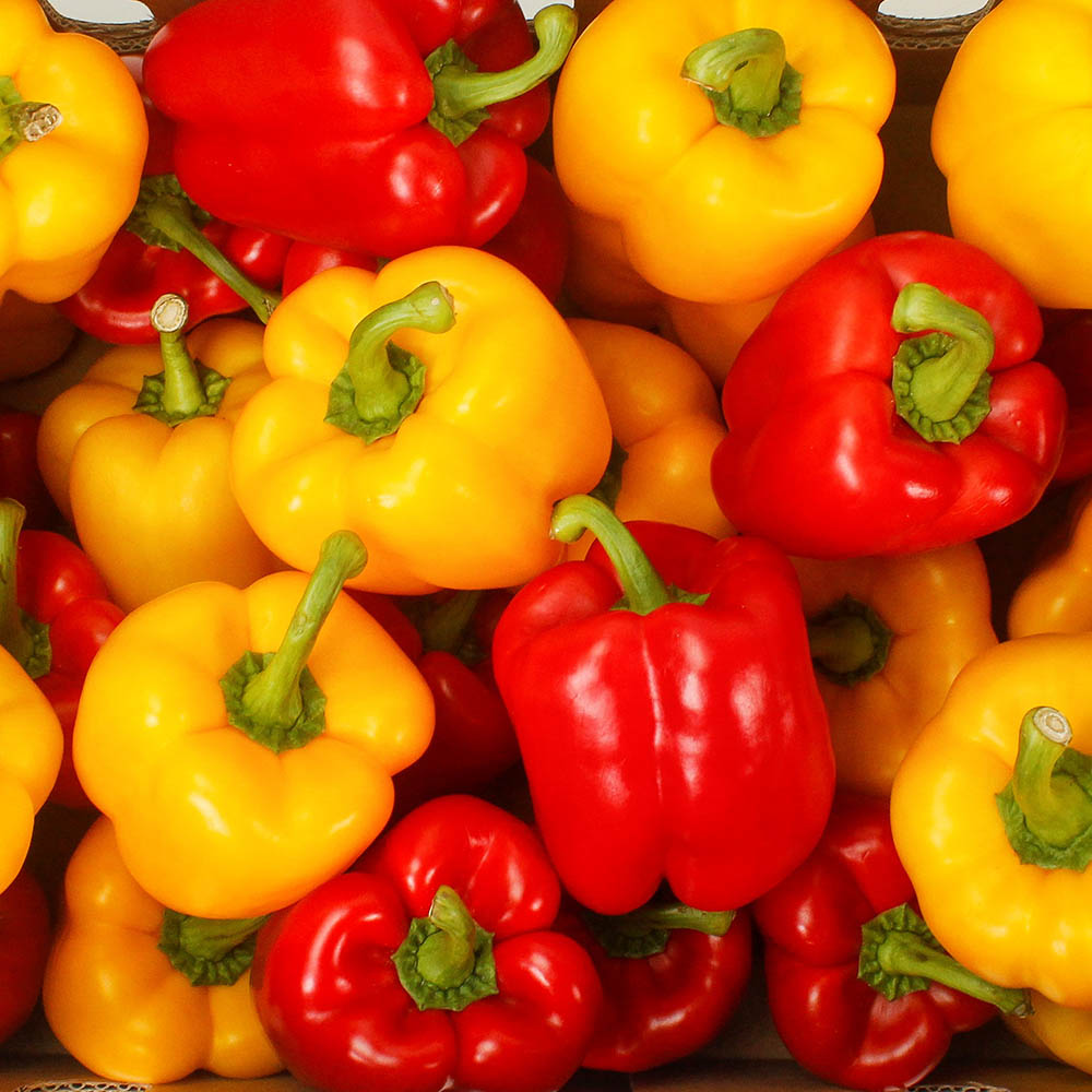 1646641021 thumbnail