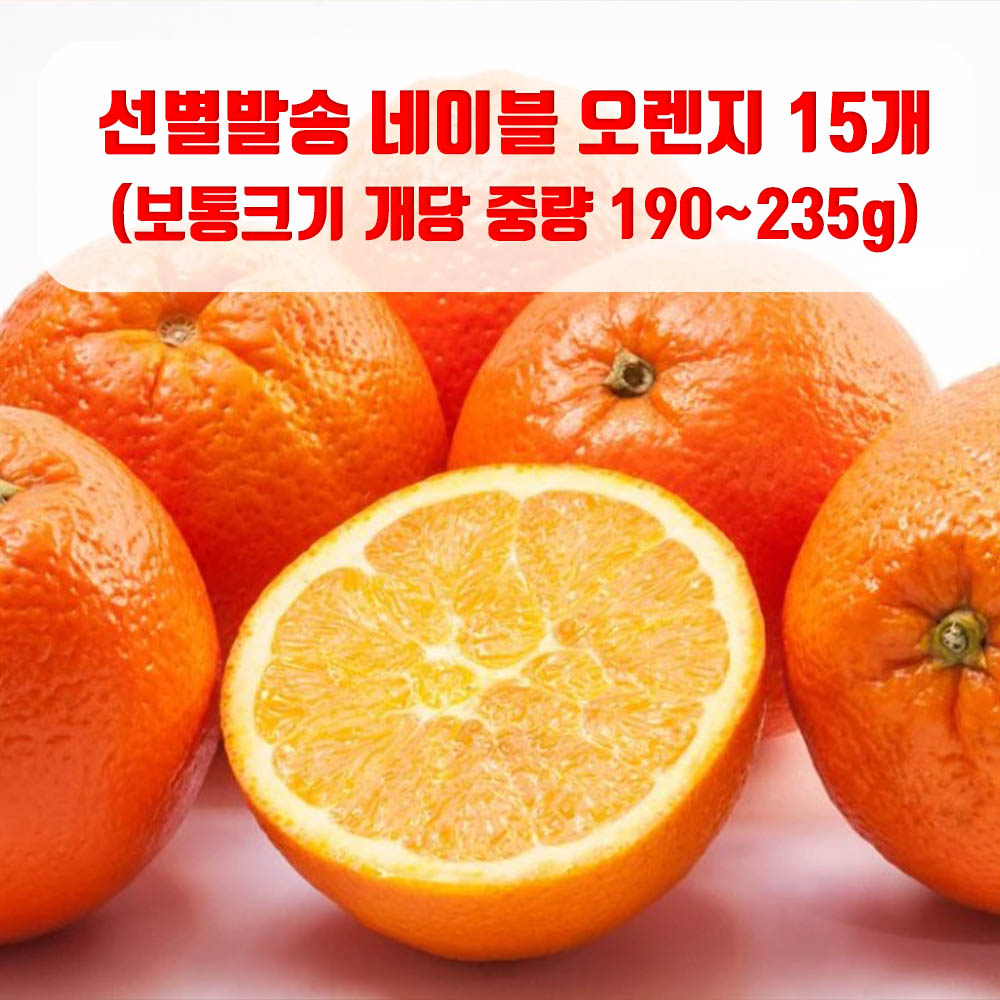 1646641022 thumbnail