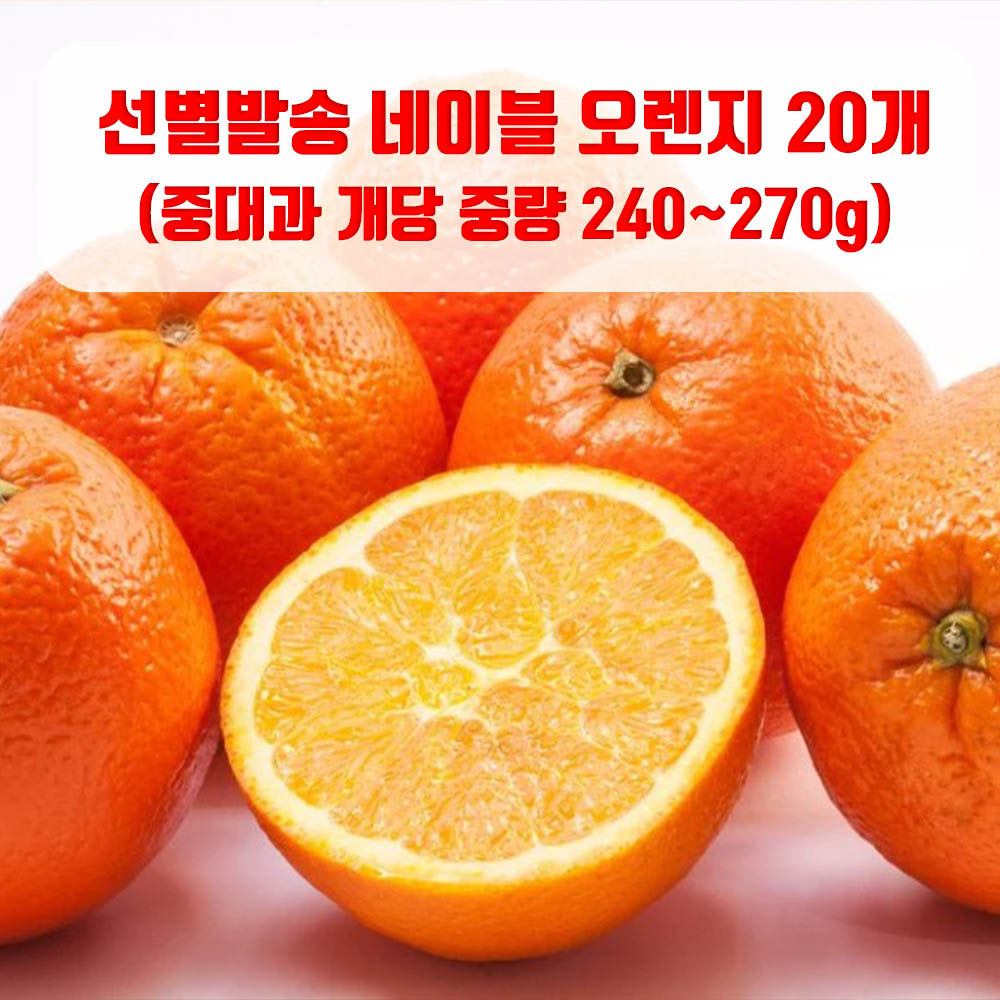 1646641027 thumbnail