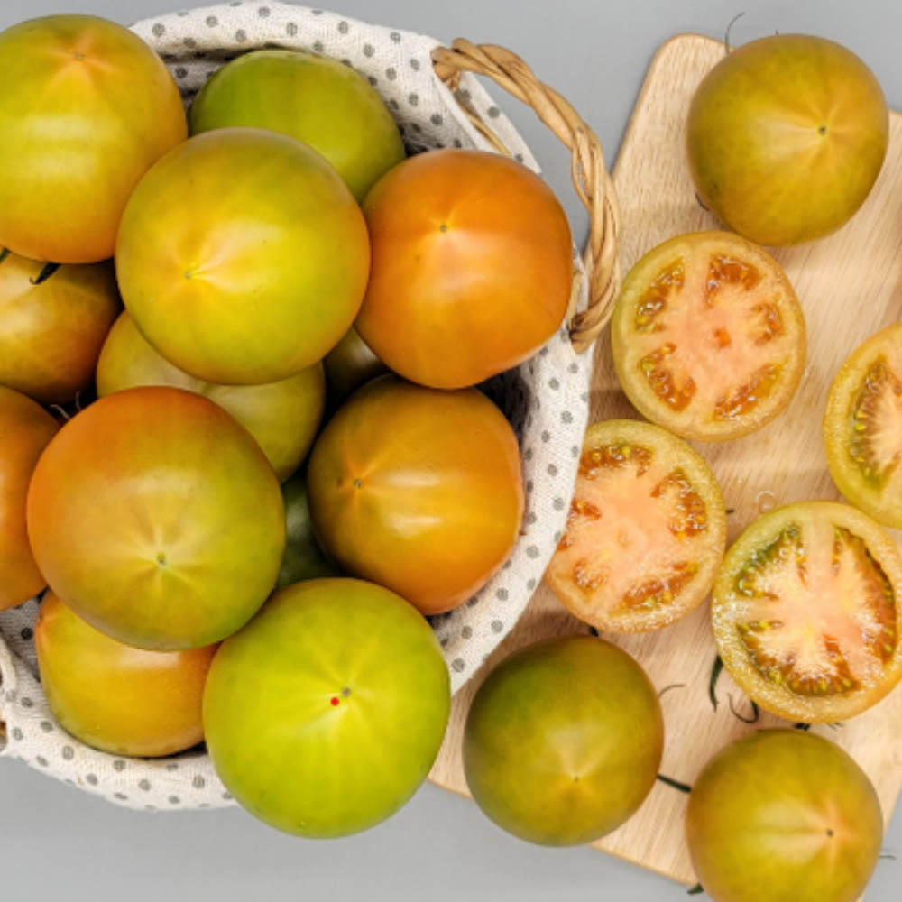 1646641028 thumbnail