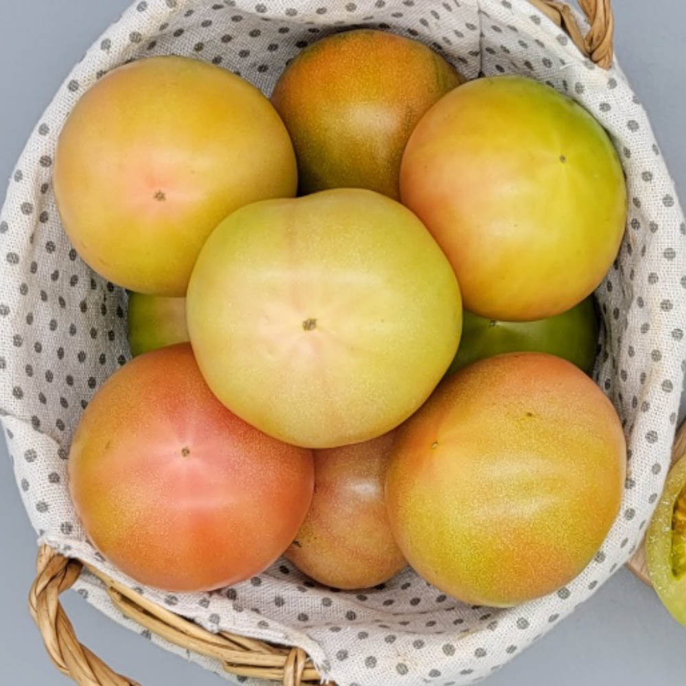 1646641029 thumbnail