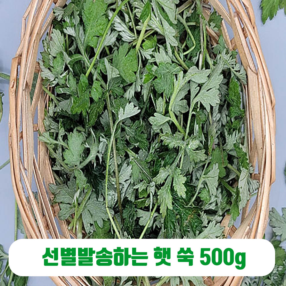 1646641032 thumbnail