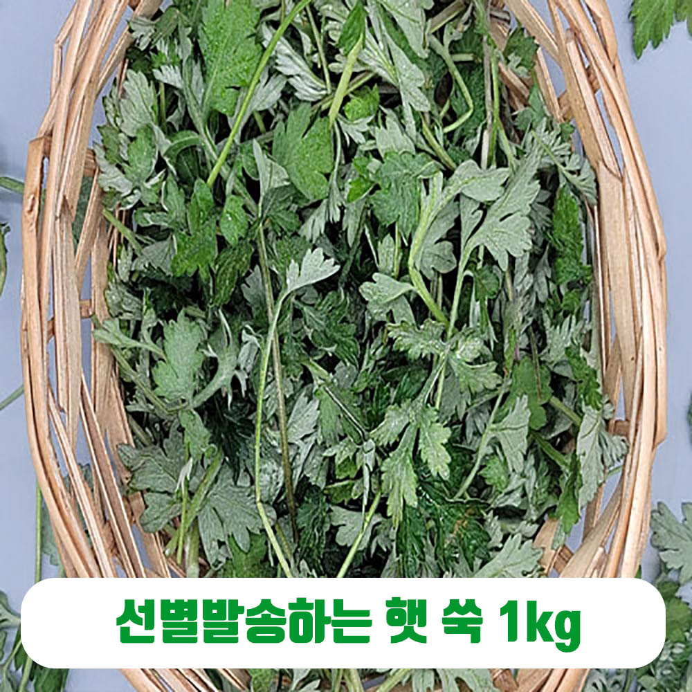 1646641033 thumbnail