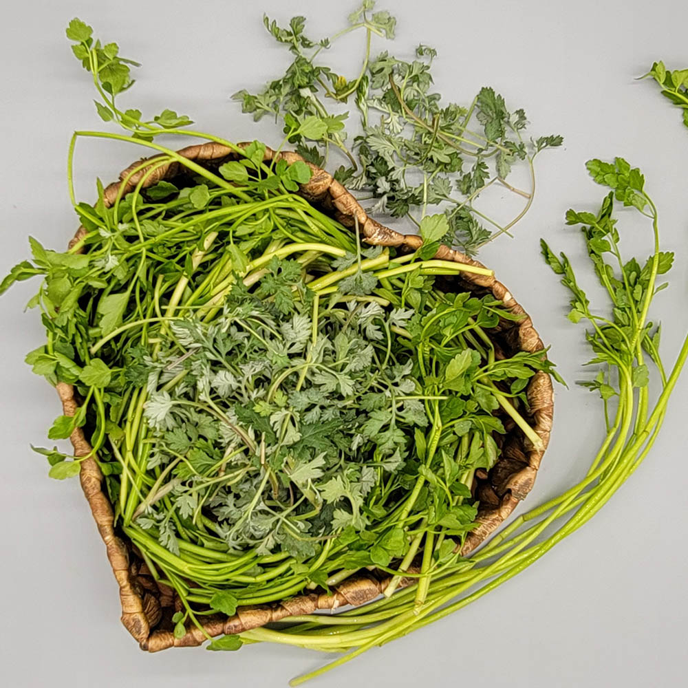 1646641037 thumbnail