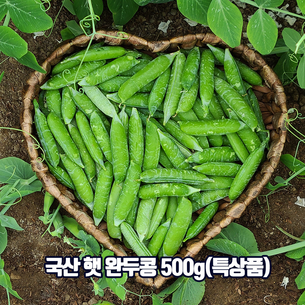 1647328404 thumbnail