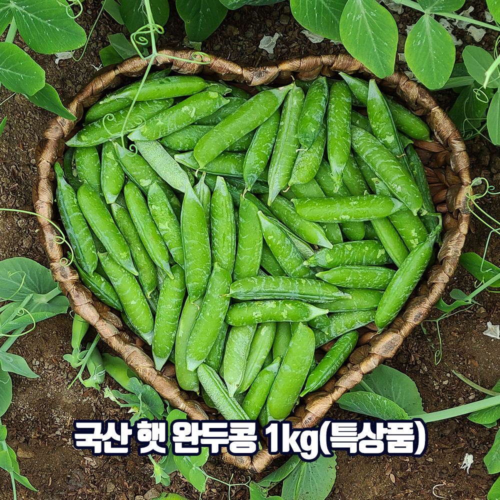 1647328405 thumbnail