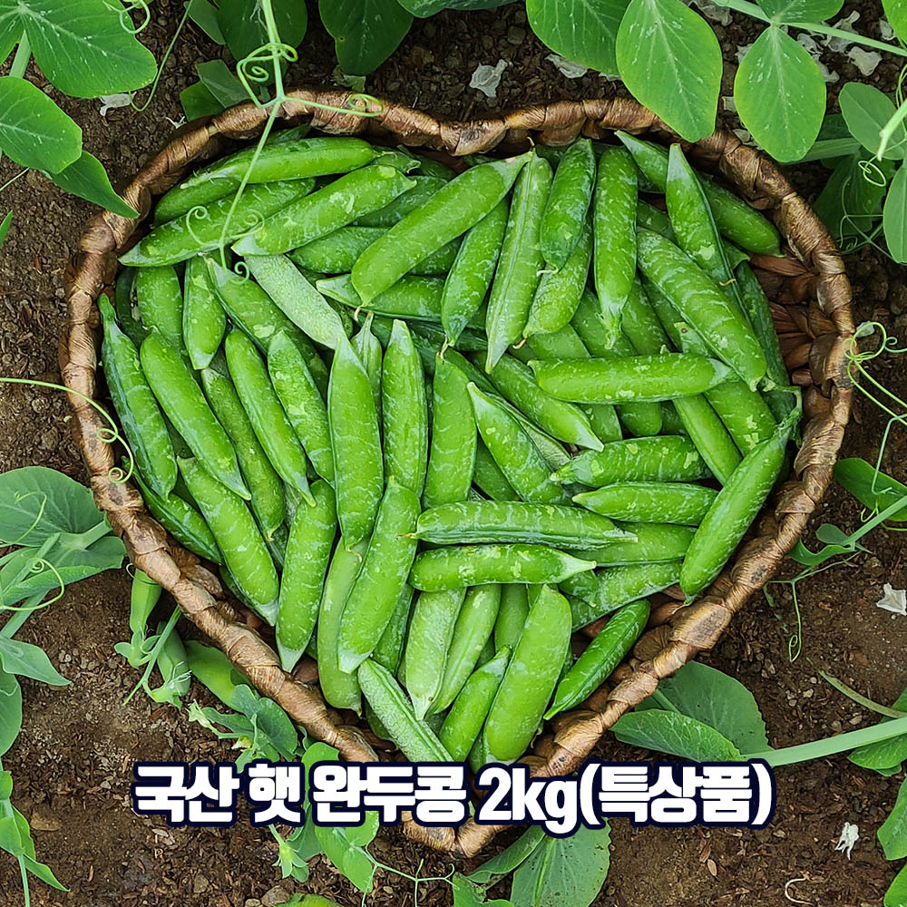 1647328406 thumbnail