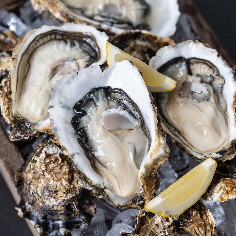 1647840734 thumbnail