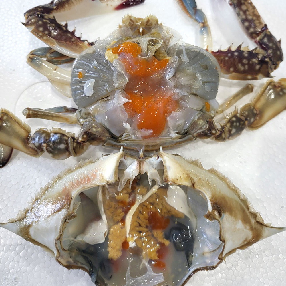 1647840739 thumbnail