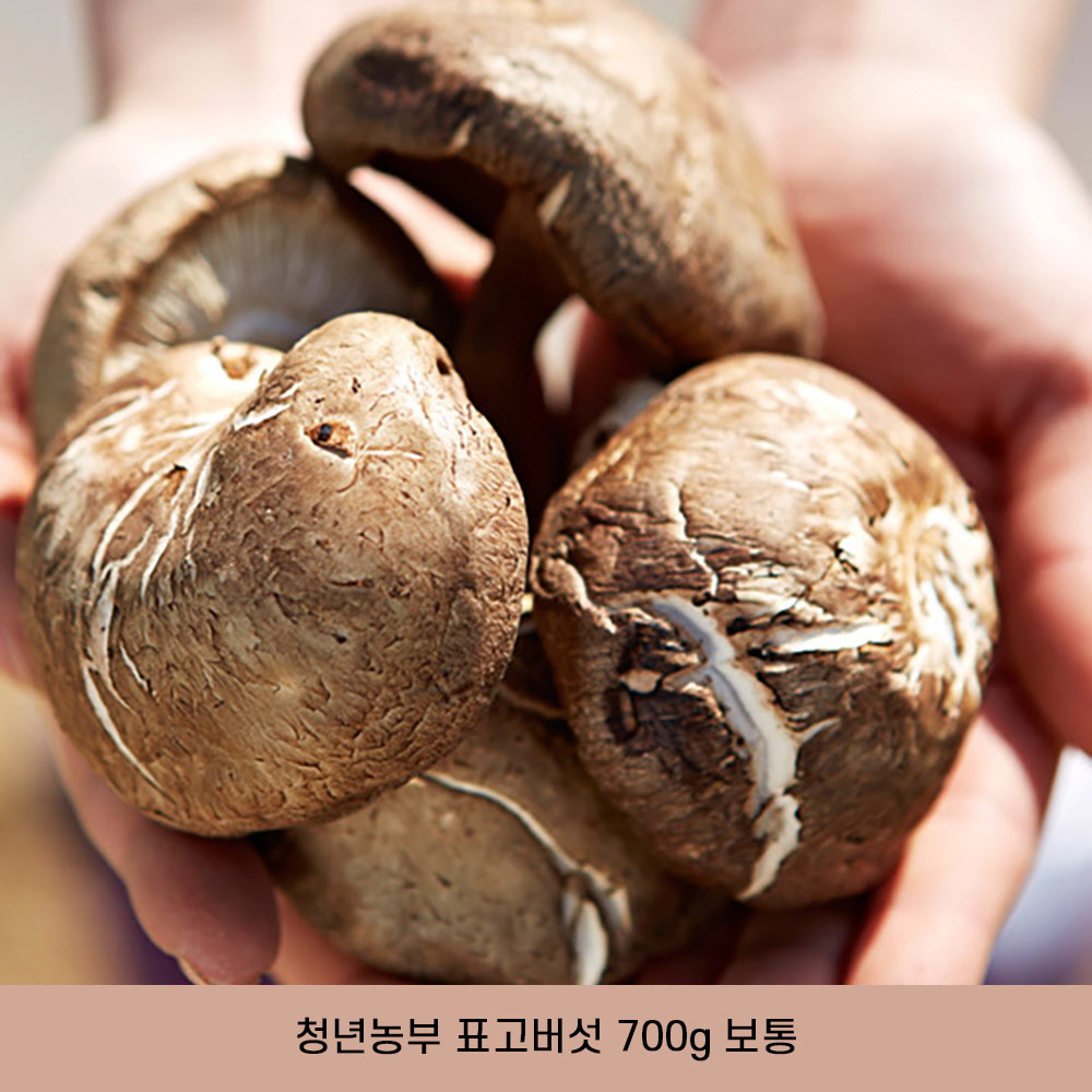 1647929830 thumbnail