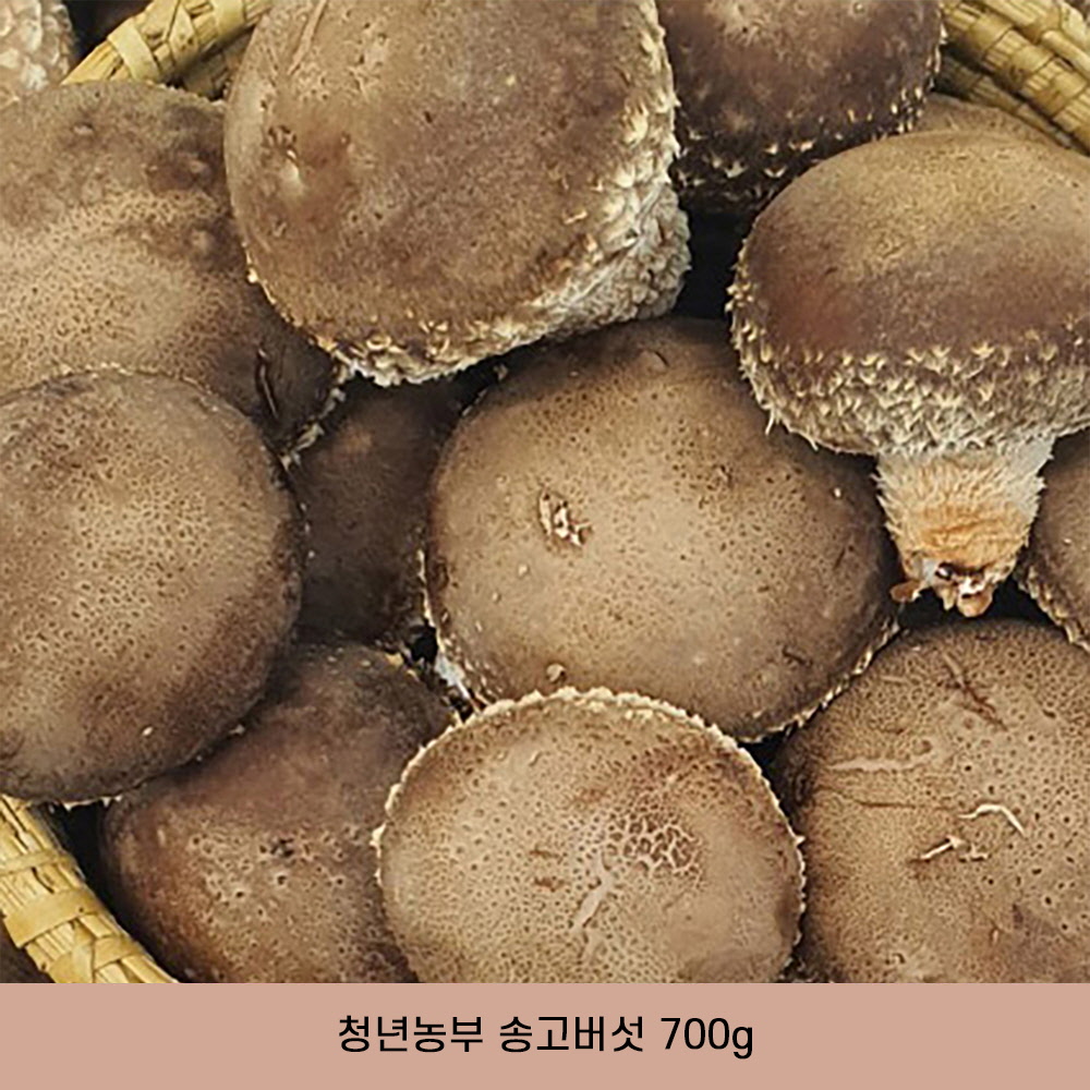 1647929833 thumbnail