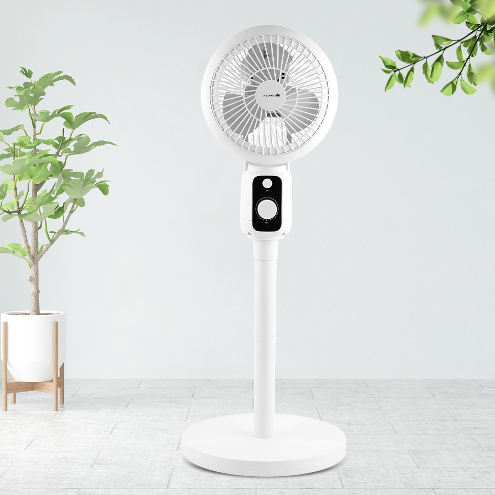 1647930534 thumbnail