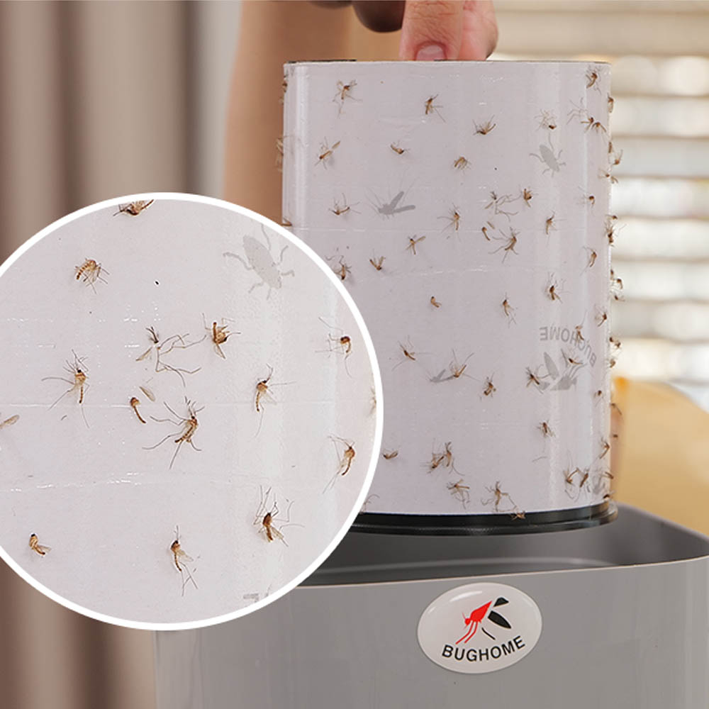 1649140491 thumbnail