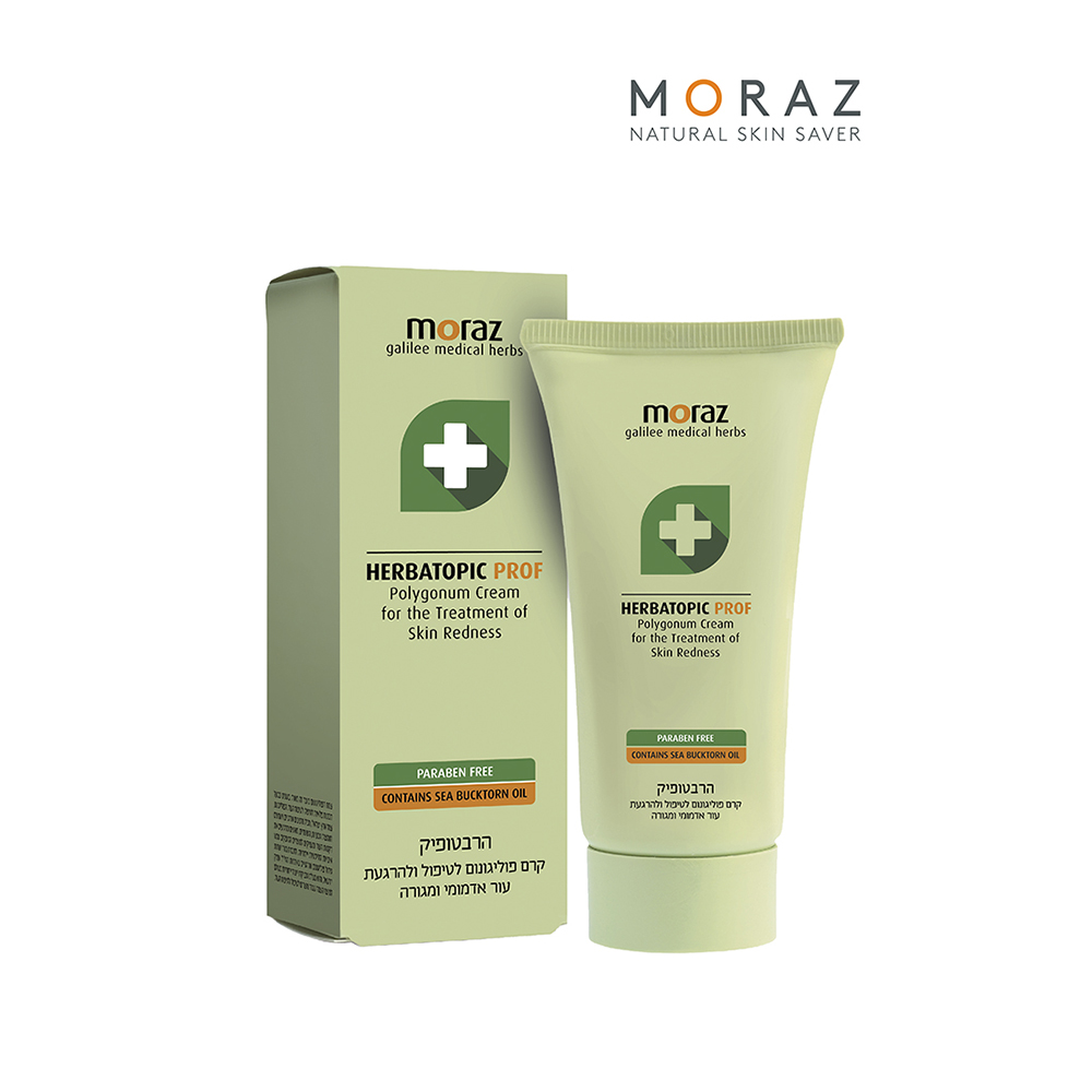 1649312645 thumbnail