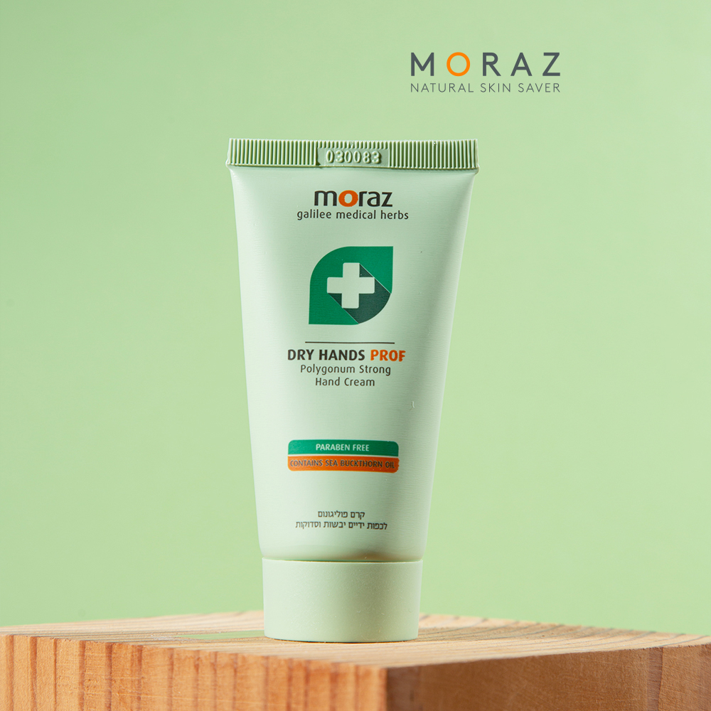 1649312647 thumbnail