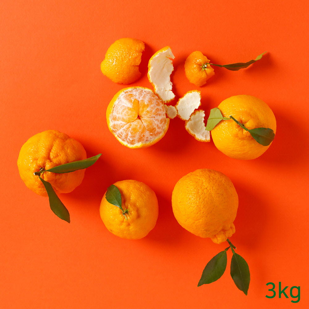 1649647802 thumbnail