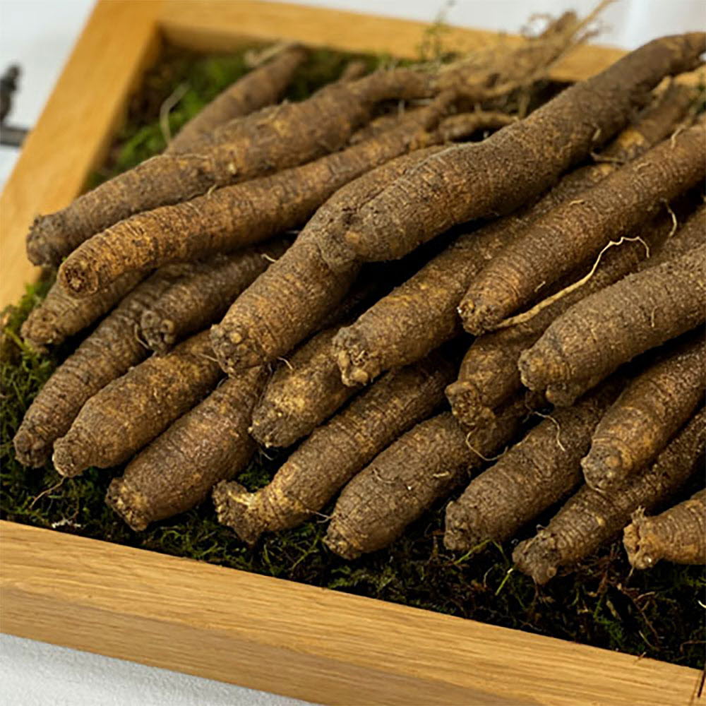 1649654024 thumbnail