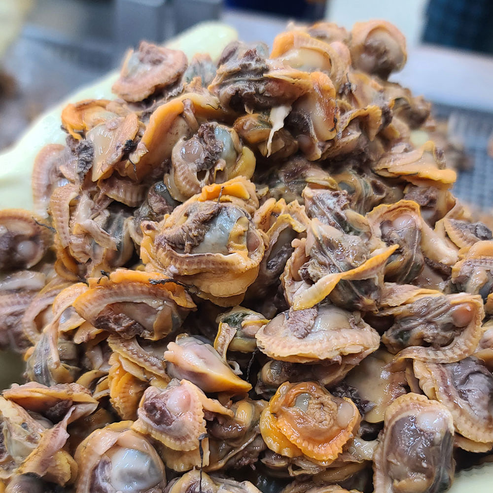 1650354872 thumbnail