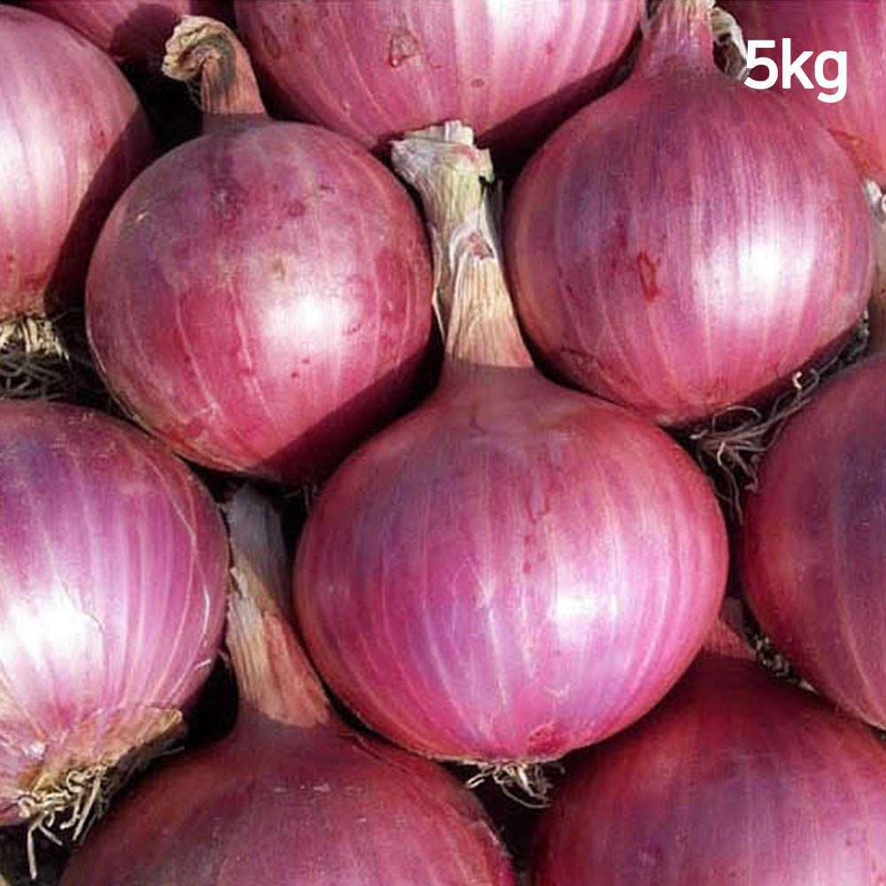 1650436688 thumbnail