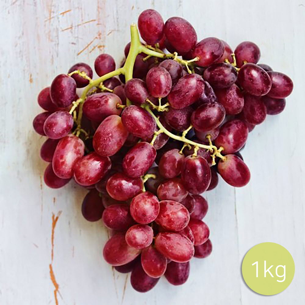 1650522290 thumbnail