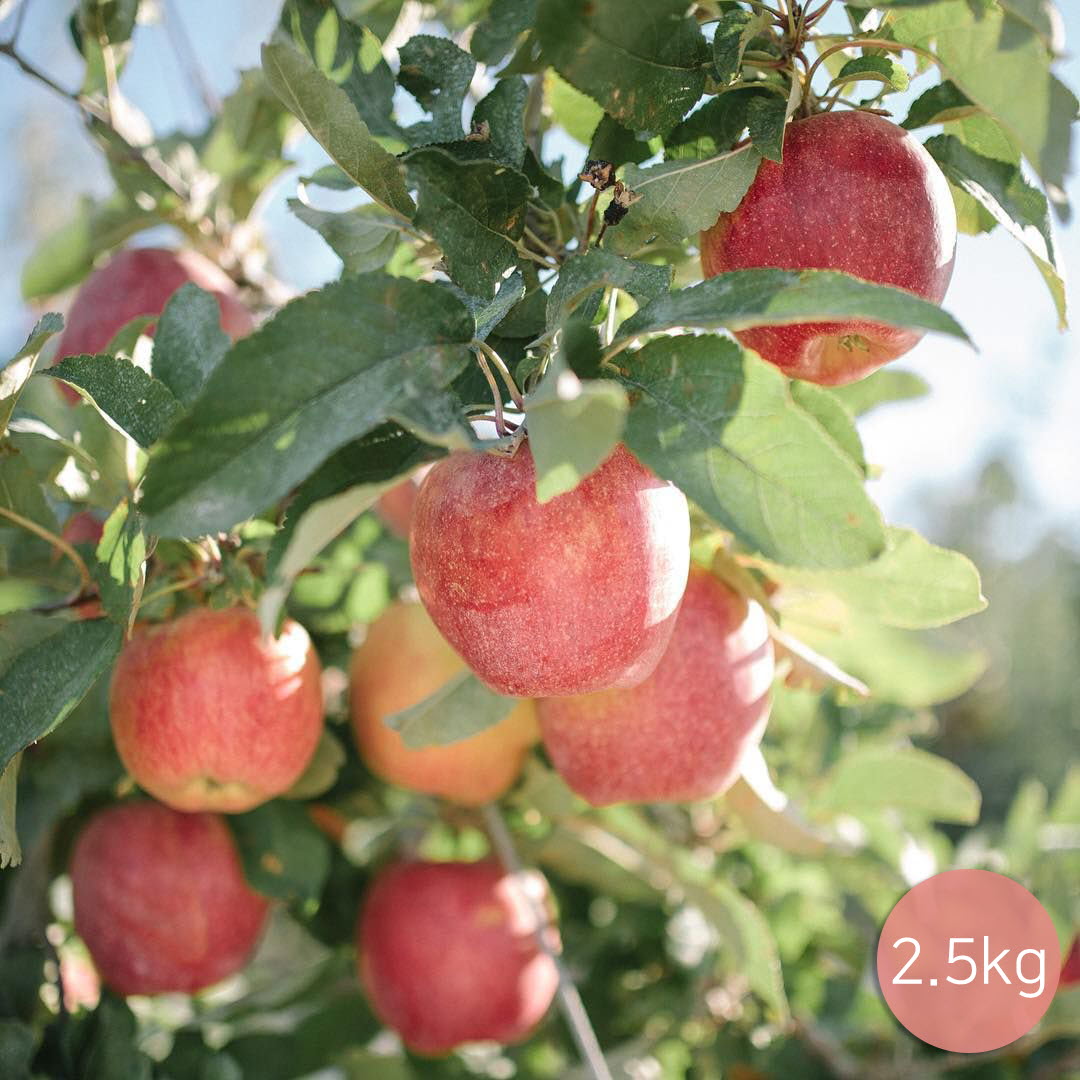 1650522293 thumbnail