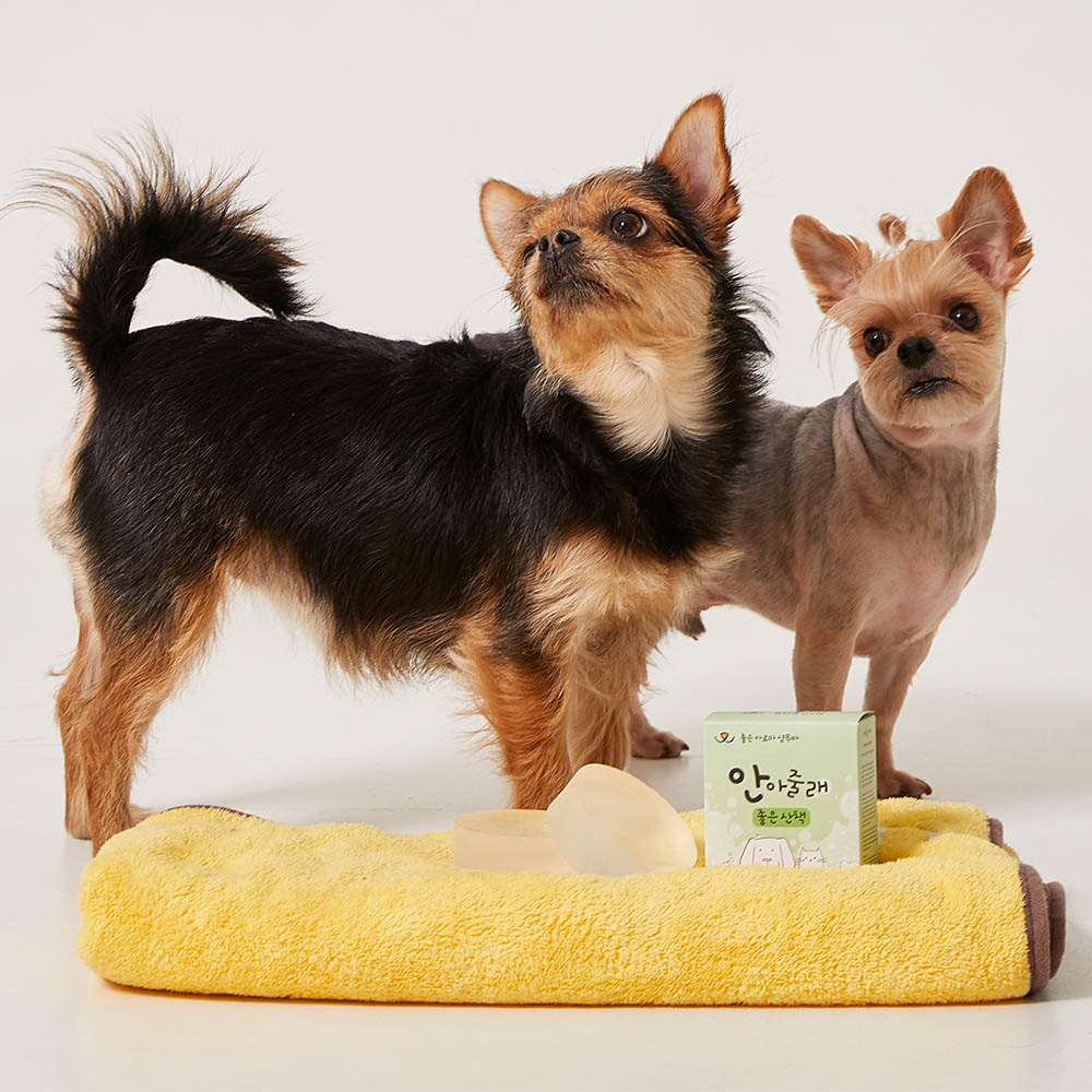 1650526739 thumbnail