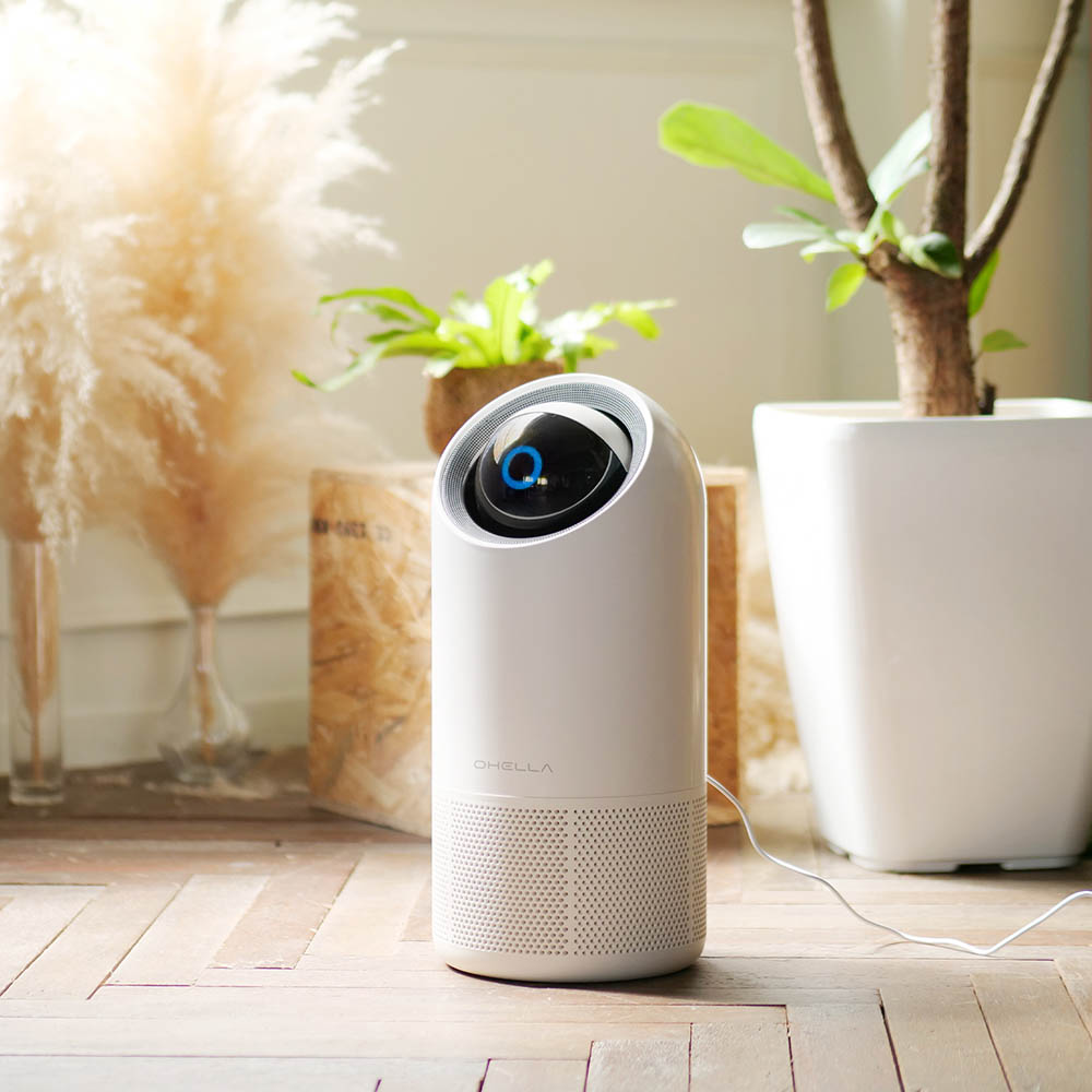 1650596446 thumbnail