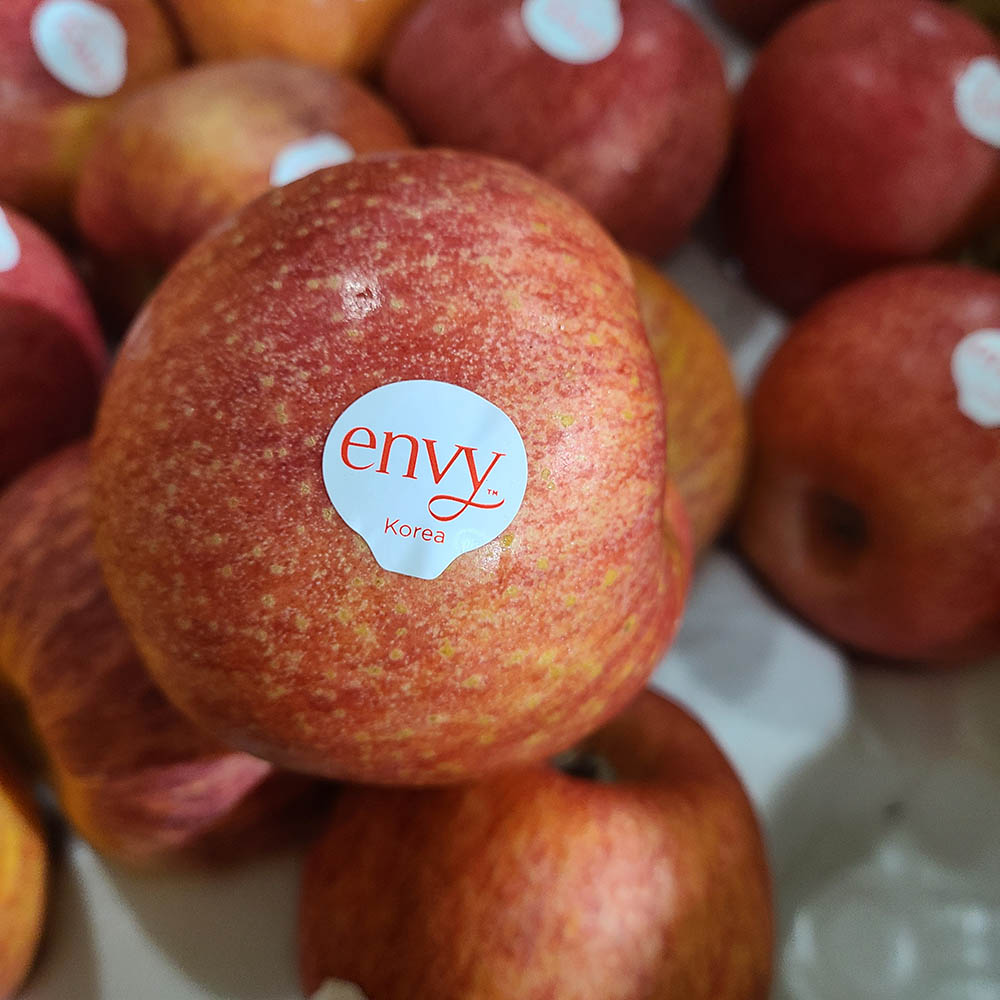 1650960458 thumbnail