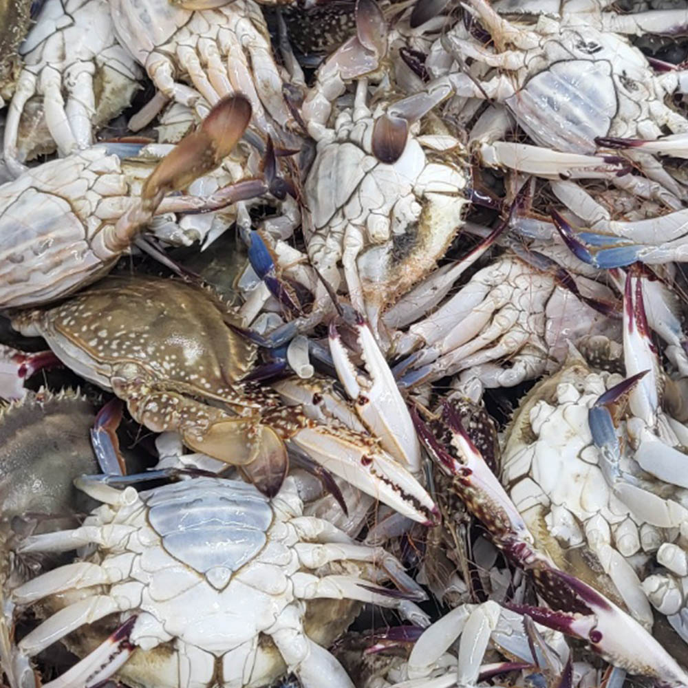 1651112608 thumbnail