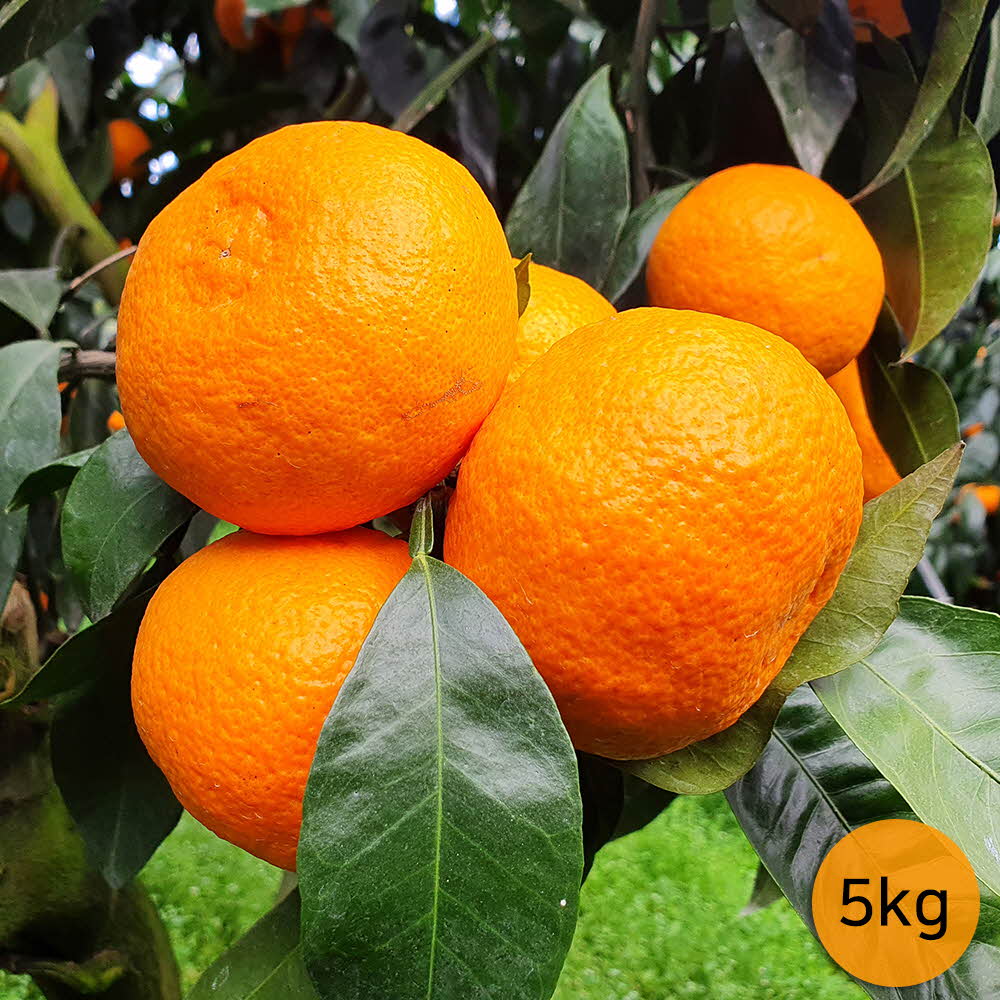 1651115963 thumbnail