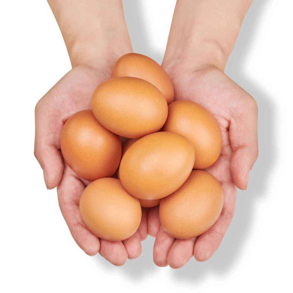 1651212886 thumbnail