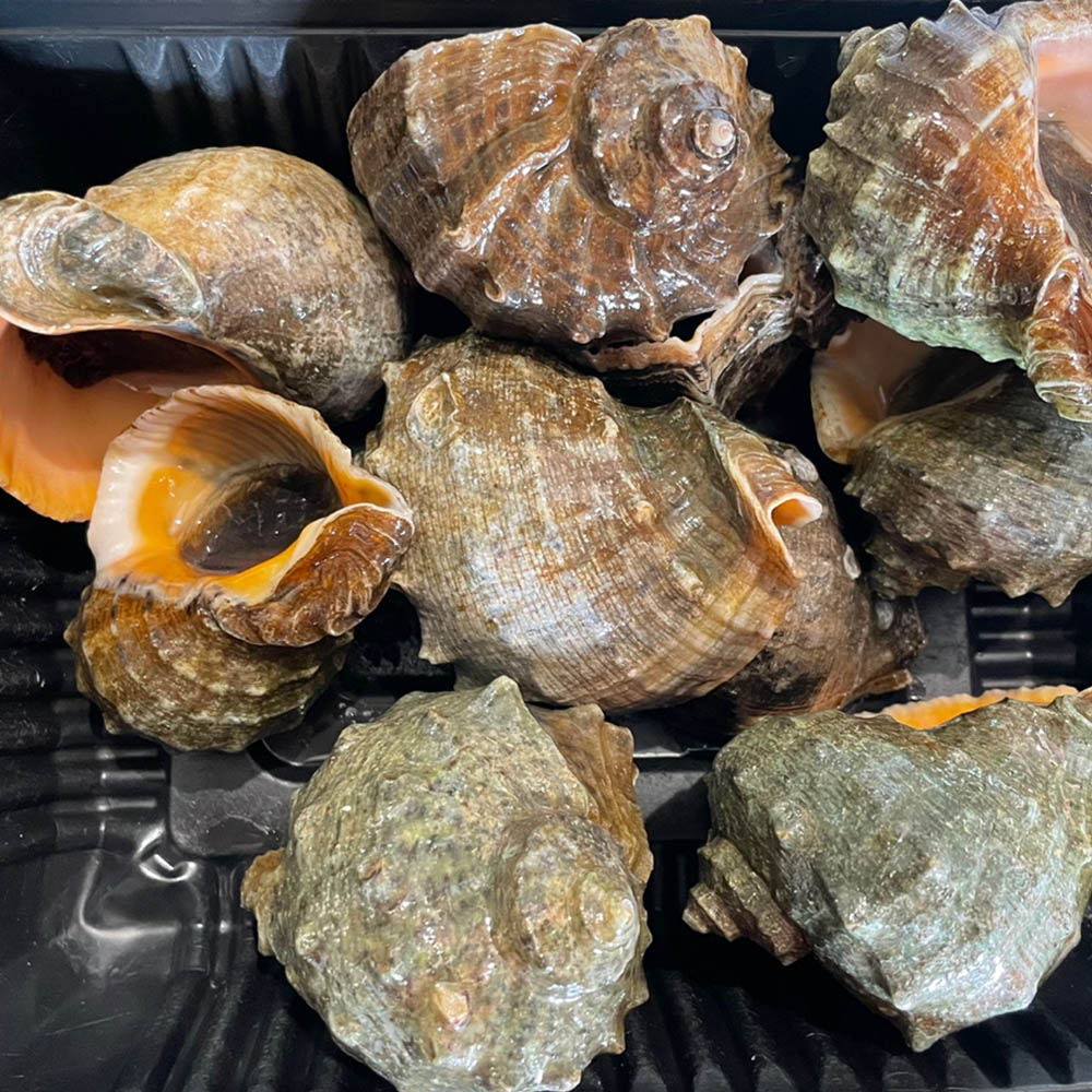 1651469343 thumbnail