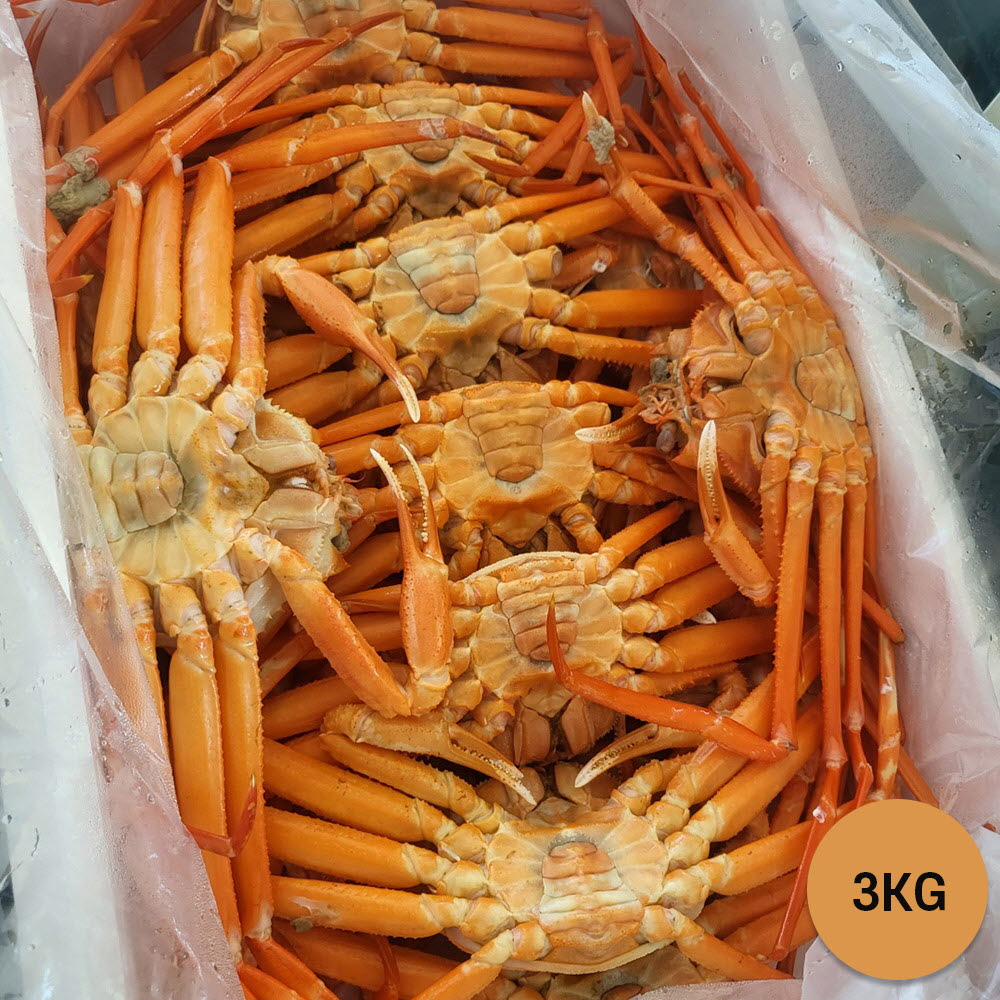 1651483340 thumbnail