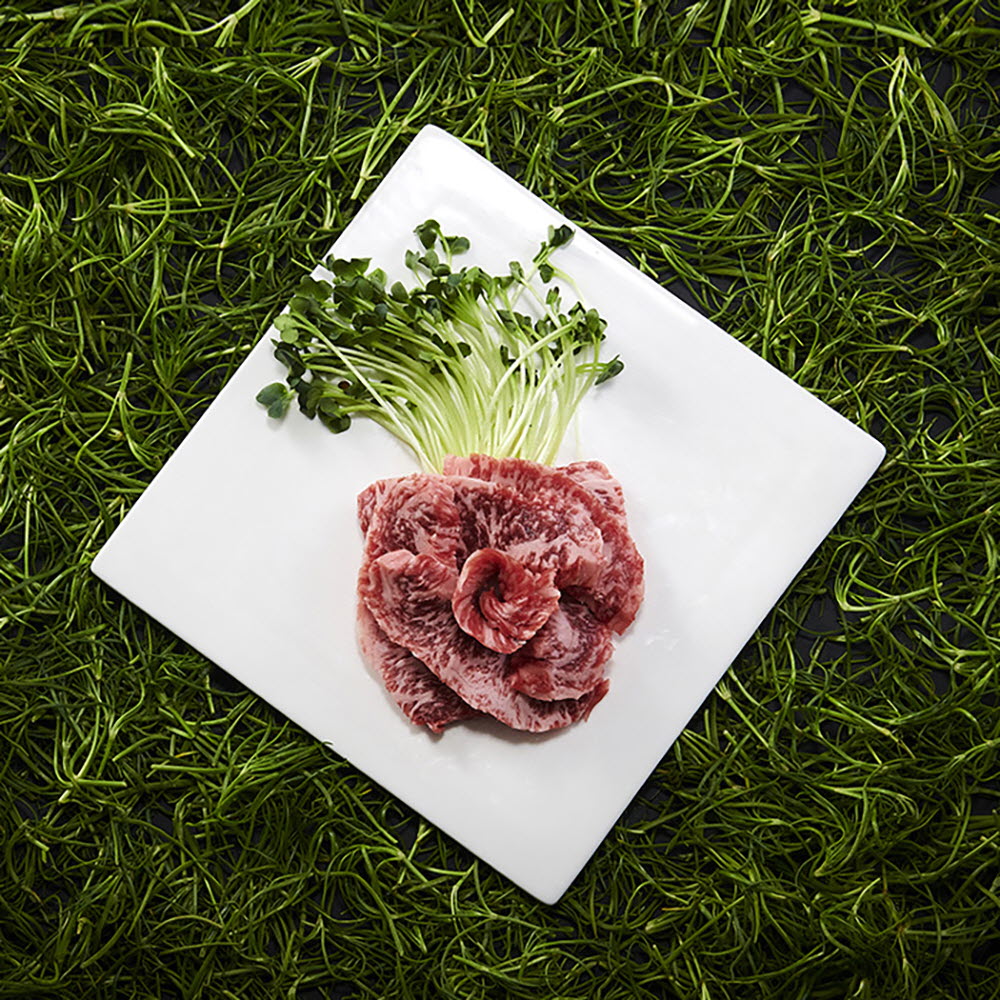 1652162844 thumbnail