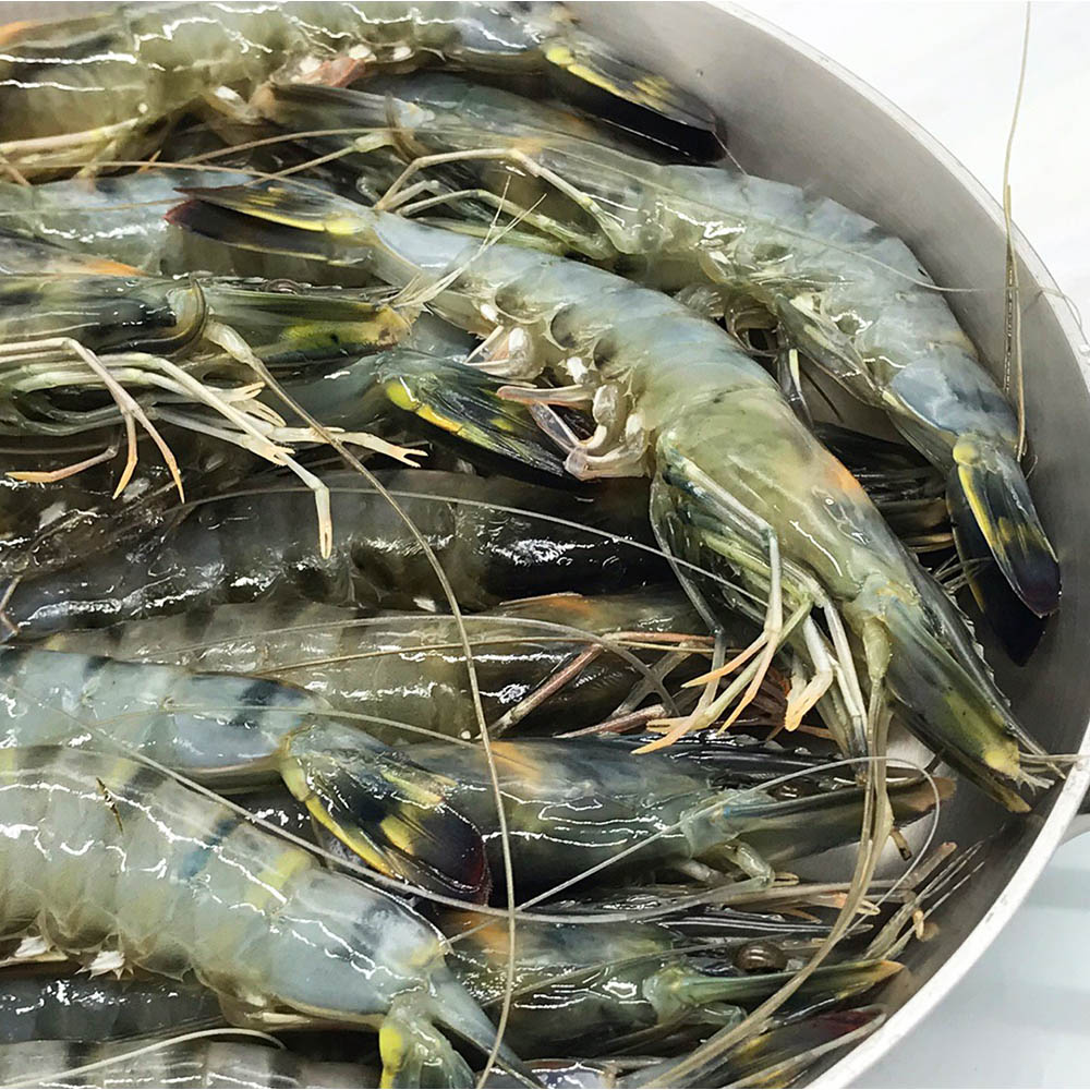 1652166574 thumbnail