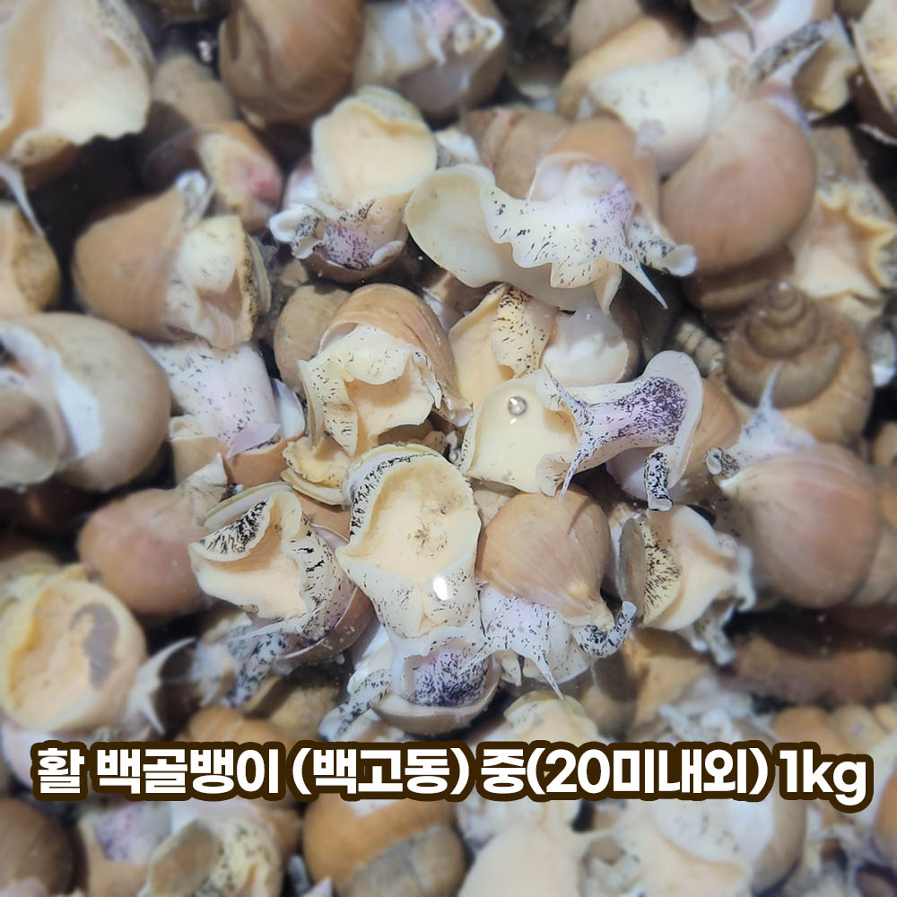 1652166576 thumbnail