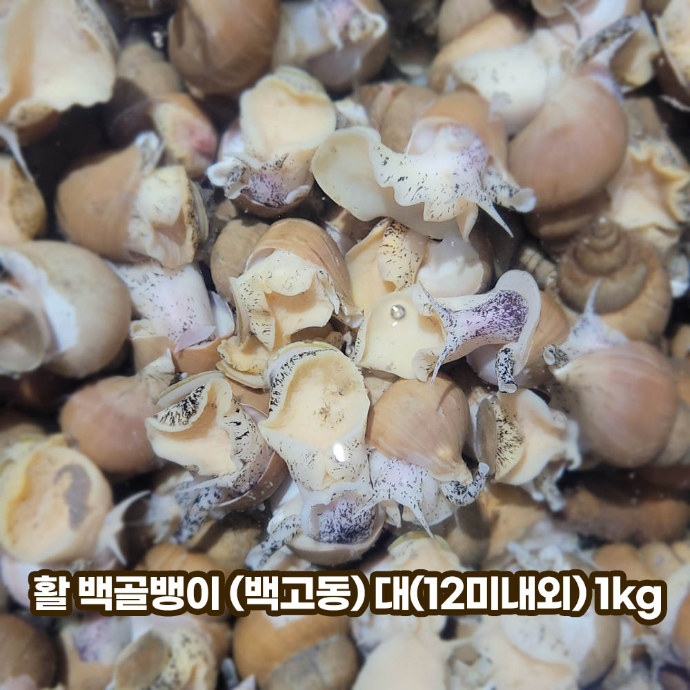 1652166577 thumbnail