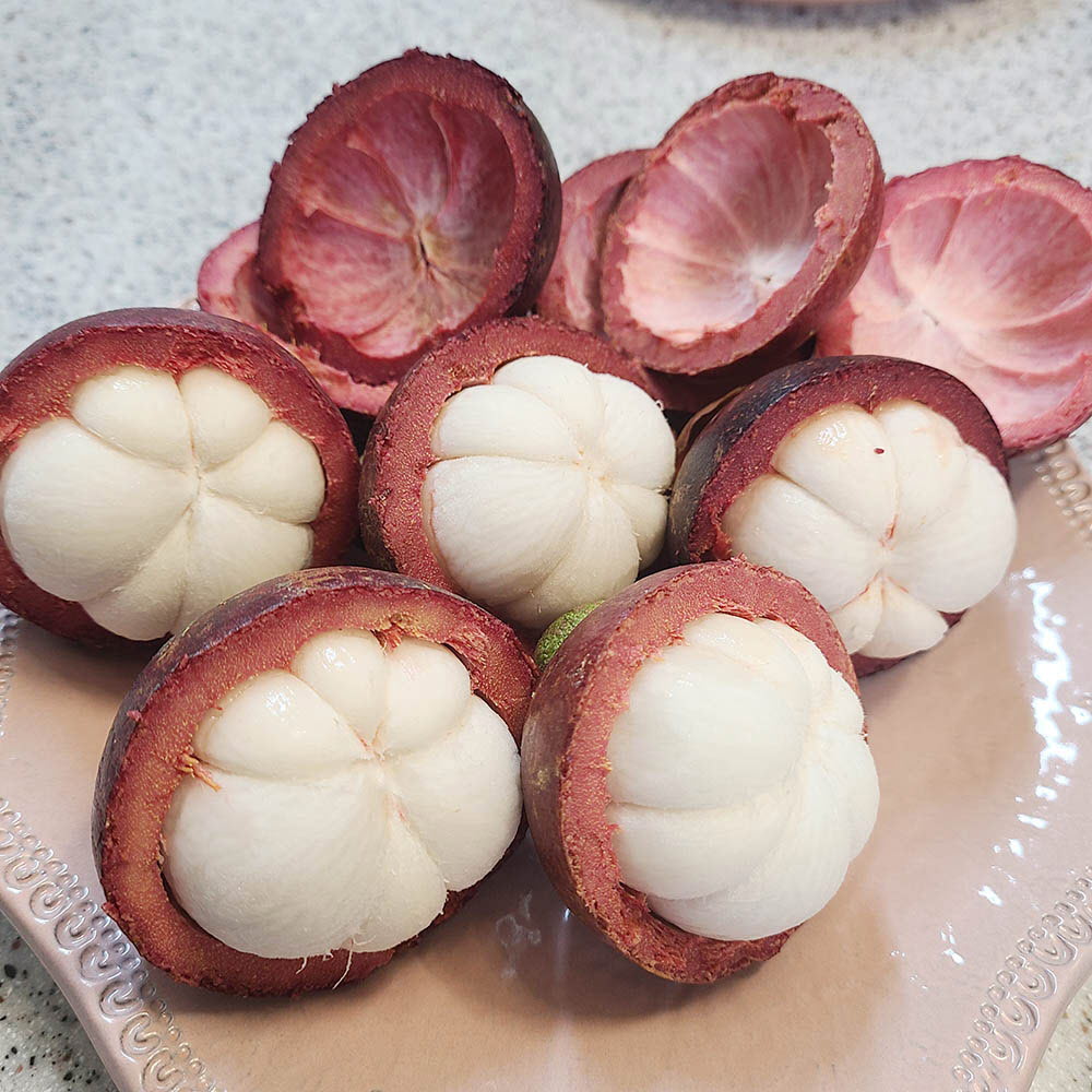 1652259962 thumbnail