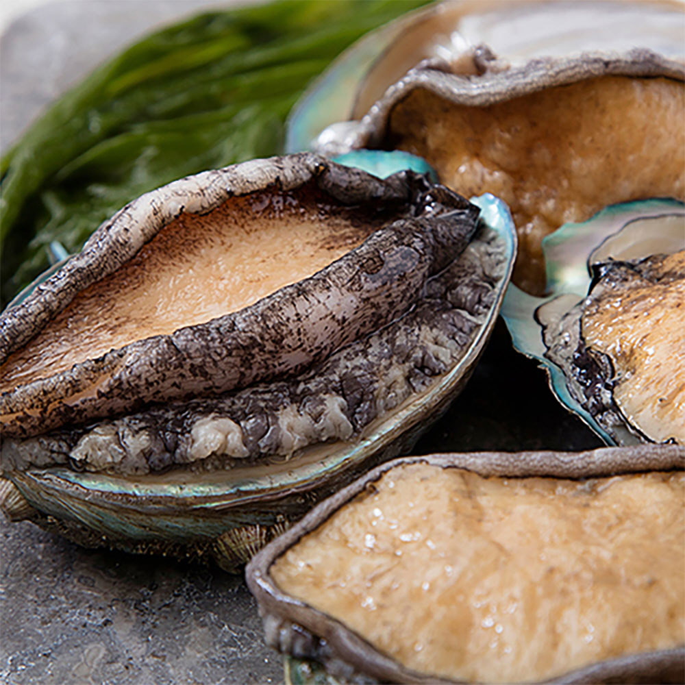 1652951939 thumbnail