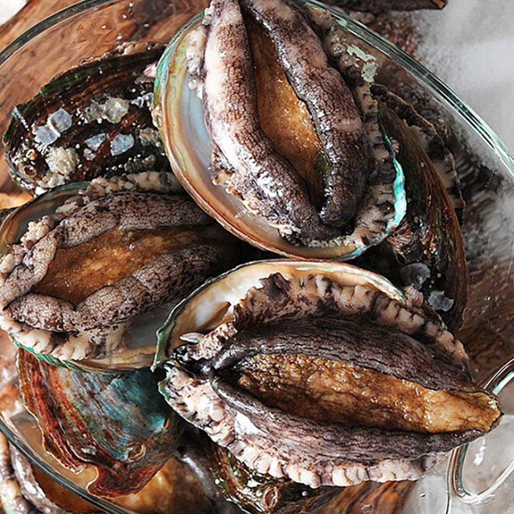 1653276675 thumbnail