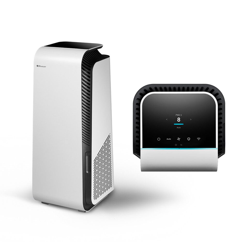 1653297029 thumbnail