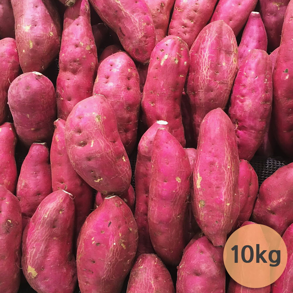 1653297045 thumbnail