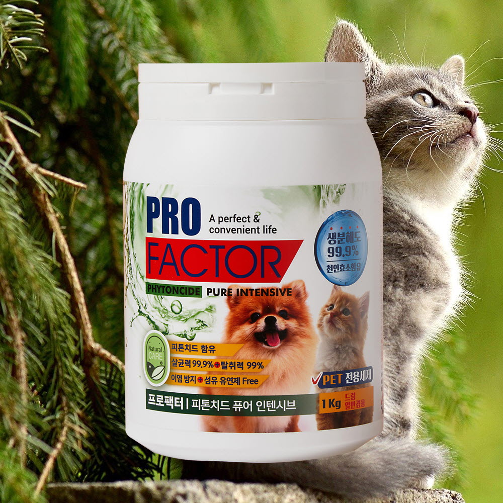 1653297072 thumbnail