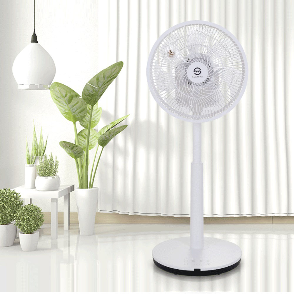 1653366398 thumbnail