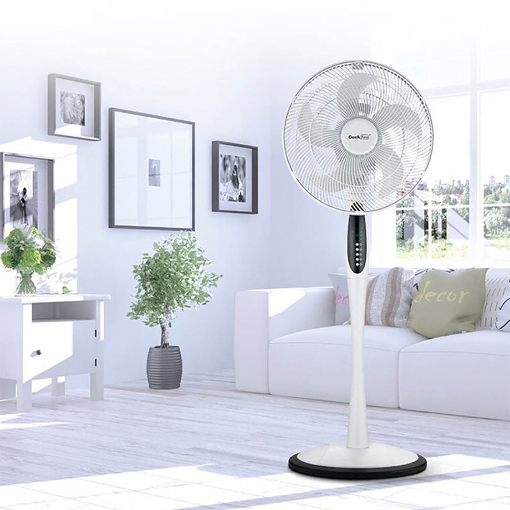 1653462497 thumbnail