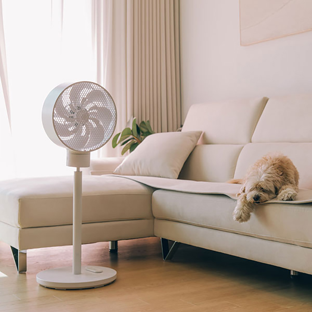 1654234664 thumbnail