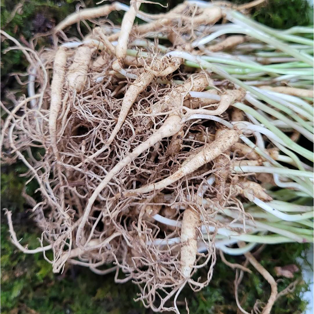 1654658033 thumbnail