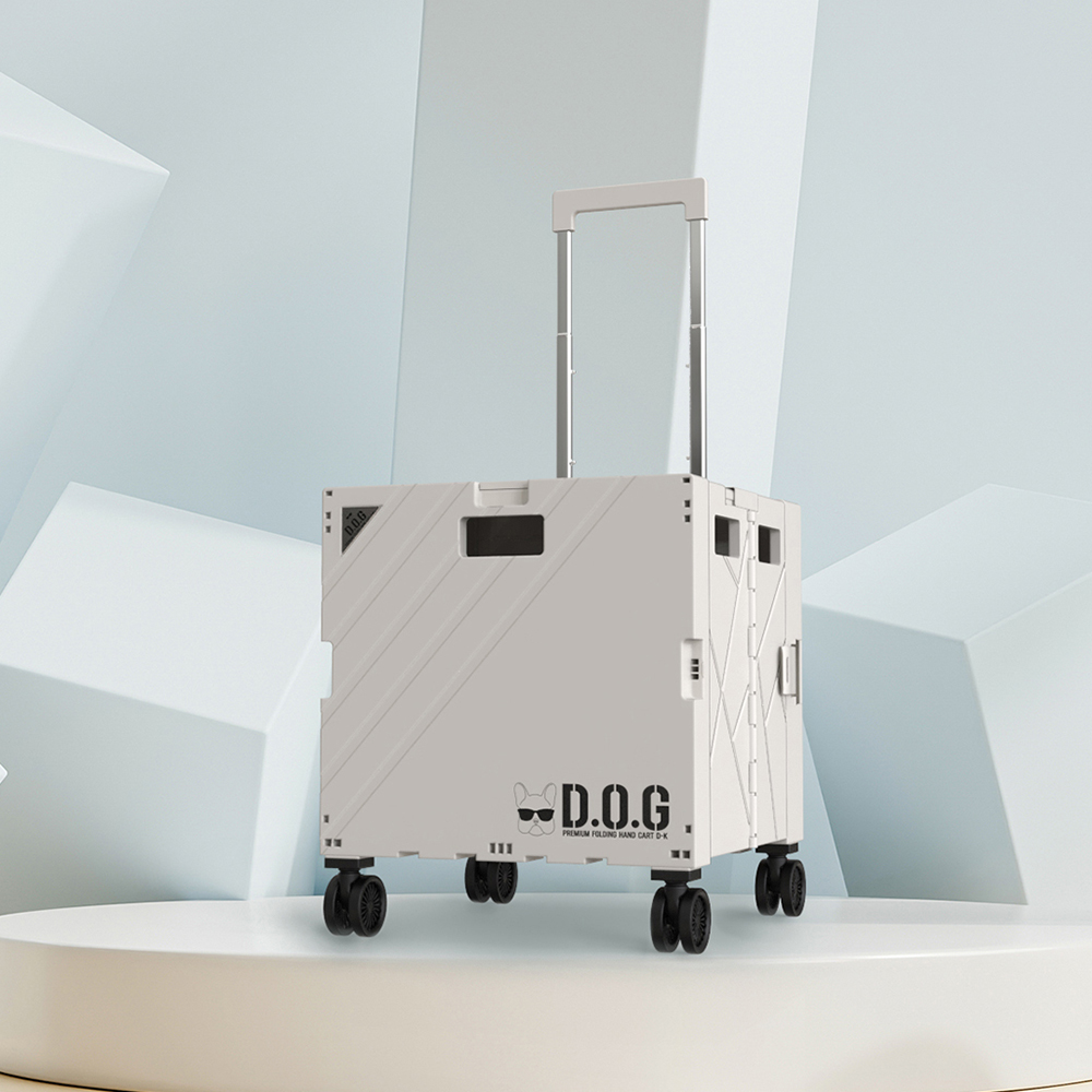 1654837936 thumbnail